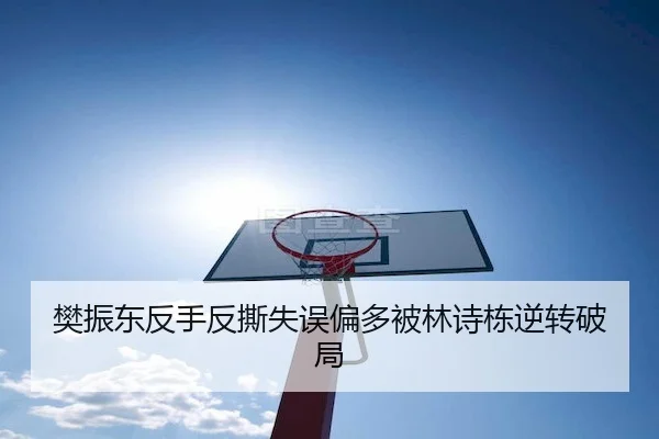 樊振东反手反撕失误偏多被林诗栋逆转破局 - 3377sports